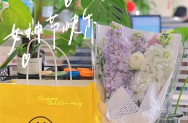 向“她”致敬，光芒何止今天（tiān）。